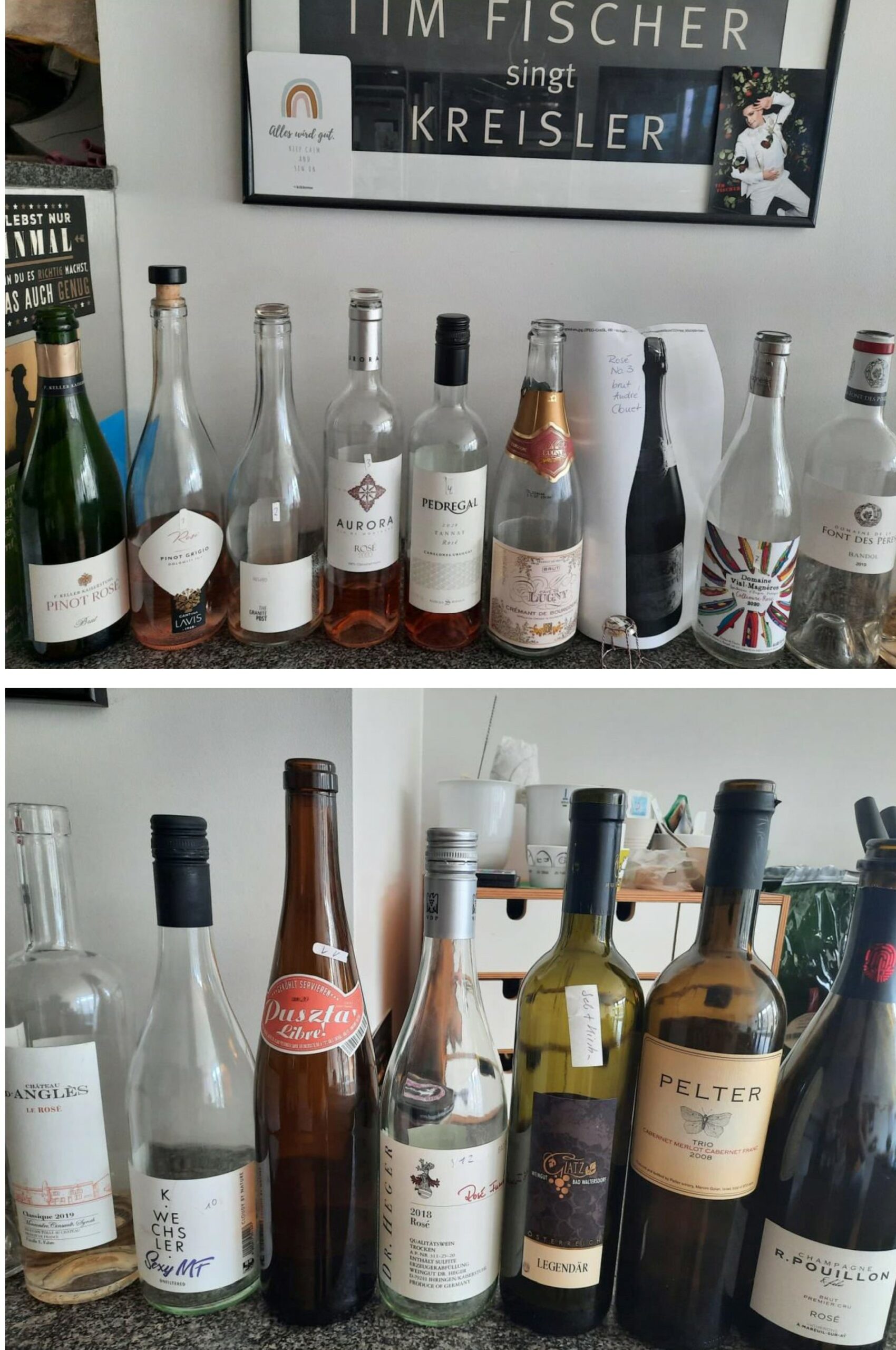 Mehr über den Artikel erfahren Freitag 08.07.2022 Live-Meeting bei R+M „Rose International“ – Alle –